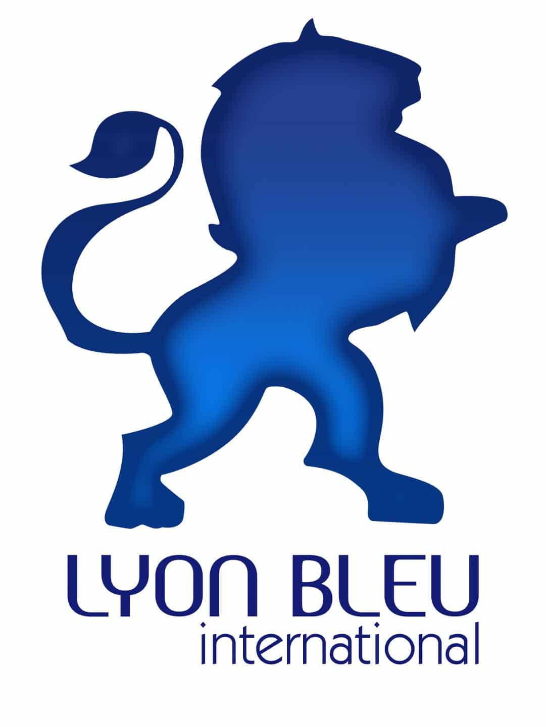 audit SEO site web a lyon Un Baobab sur la colline