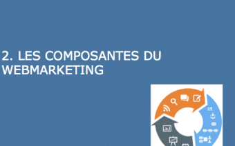 composantes webmarketing un baobab sur la colline