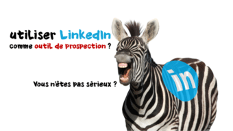 formation linkedin lyon avec un Baobab sur la colline