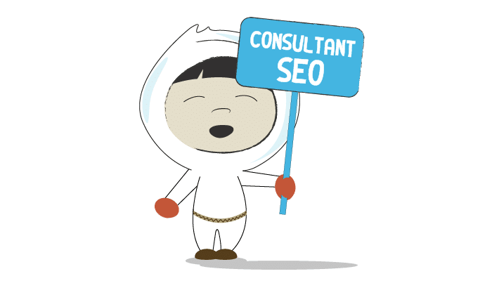 consultant seo lyon