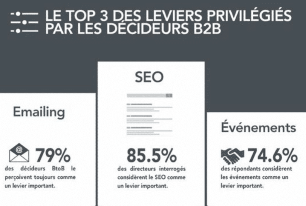 seo-webmarketing-lyon-un-baobab-sur-la-colline