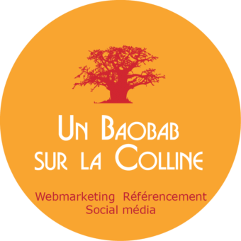 un baobab sur la colline agence webmarketing lyon