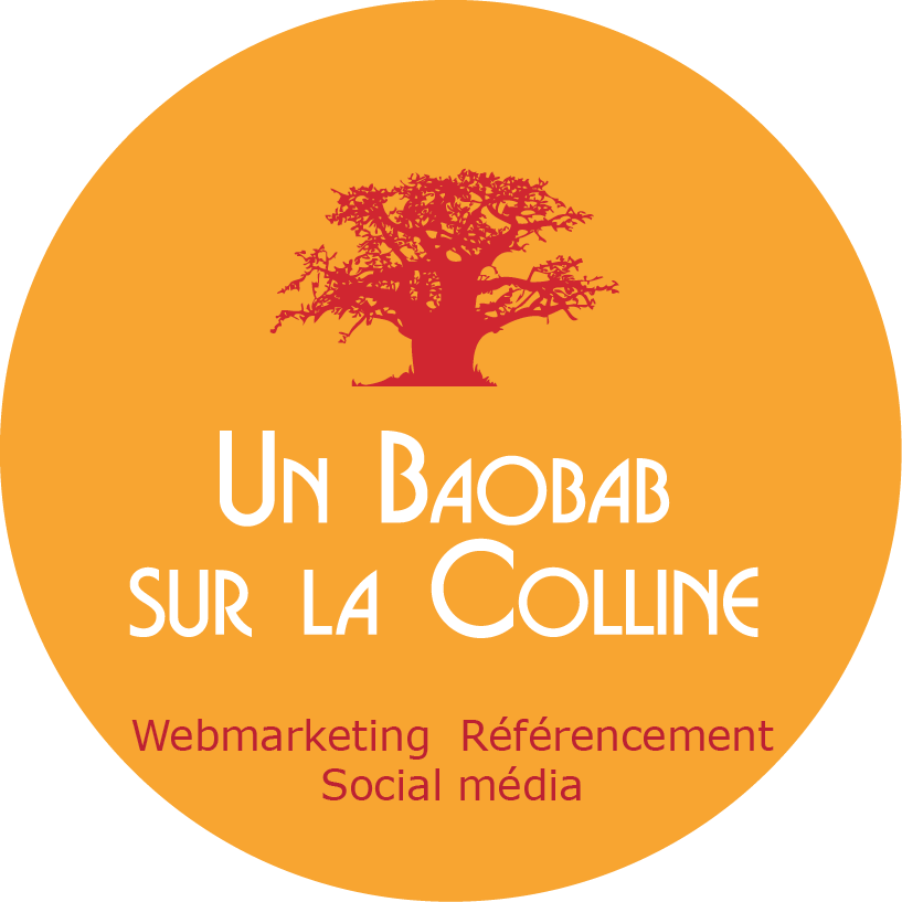 brunelle barillaro consultant seo lyon un baobab sur la colline