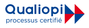 agence-webmarketing-lyon-un-baobab-sur-la-colline-certifiee-qualiopi