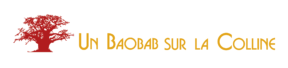 un-baobab-sur-la-colline-agence-webmarketing-referencement-seo-lyon-1-288x68