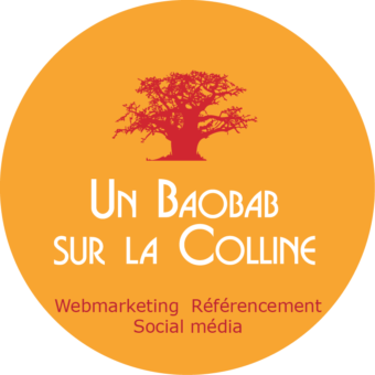 Agence webmarketing lyon Un Baobab sur la colline